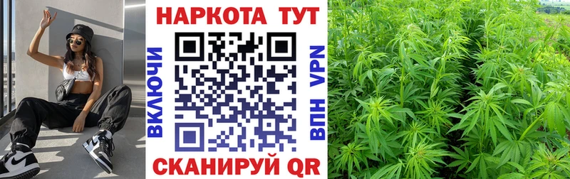 Наркота Сенгилей Бошки Шишки Меф мяу мяу Кокаин Alpha-PVP MEGA вход Гашиш АМФЕТАМИН