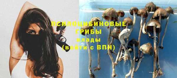 мяу мяу мука Алексеевка