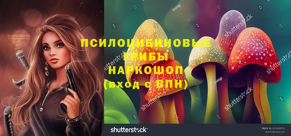 наркотики Алексин