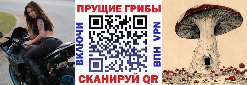 Псилоцибиновые грибы MAGIC MUSHROOMS  купить наркотик  Сенгилей 